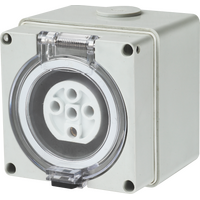 5 Pin 50A Socket